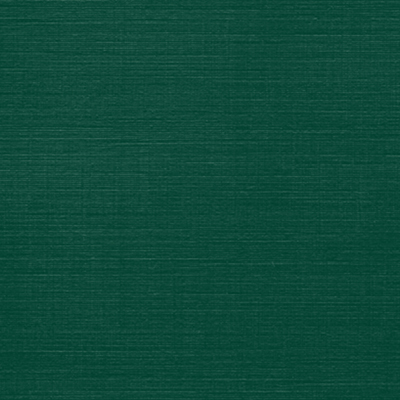 [KITE15] KITE/TISSUE PAPER  EMERALD GREEN #13